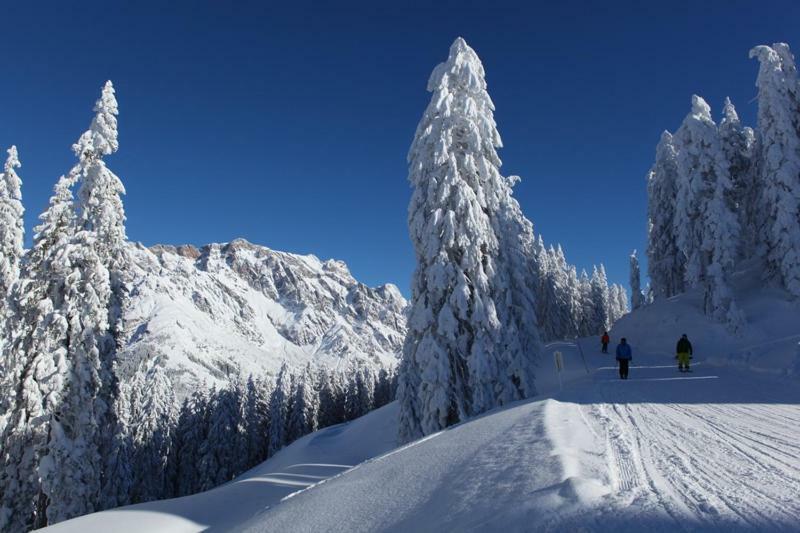 Am Berg 34 Maria Alm am Steinernen Meer Exterior foto